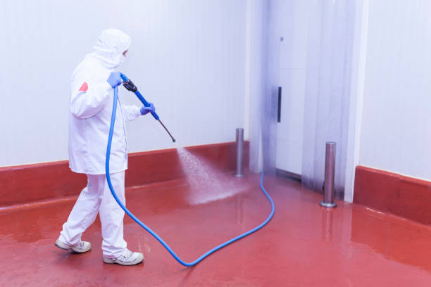Best Sidewalk and Walkway Cleaning  in Harlan, KY